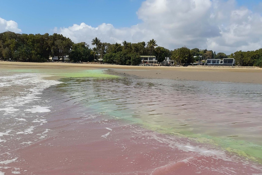 Ocean water is red and green instead of blue due to bacterial growth