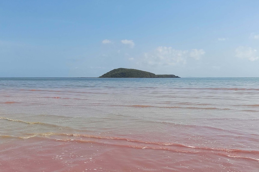 Ocean with a small island in the background, the water is red and green instead of blue due to bacterial growth