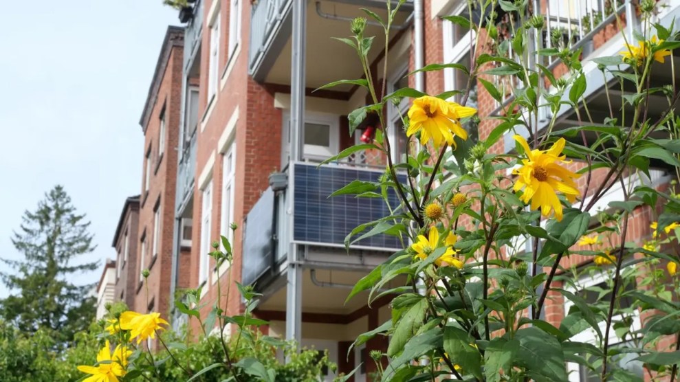 Behind some yellow flowers is a balcony with solar panels covering the outside.